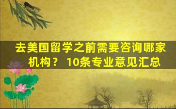 去美国留学之前需要咨询哪家机构？ 10条专业意见汇总